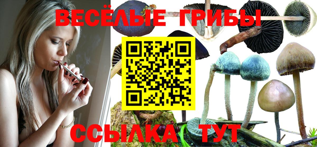 Галлюциногенные грибы MAGIC MUSHROOMS Нарткала