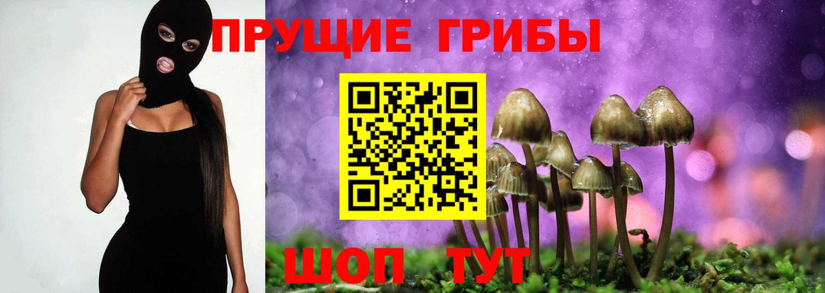 Псилоцибиновые грибы мицелий  Вход с VPN  Нарткала  хочу   Галлюциногенные грибы MAGIC MUSHROOMS 